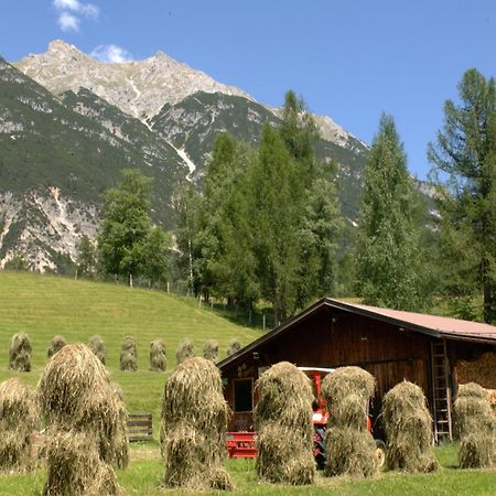 Haus Elisengrund Am Geigenbuehel - Chalet Prive 蒂罗尔-泽费尔德 外观 照片