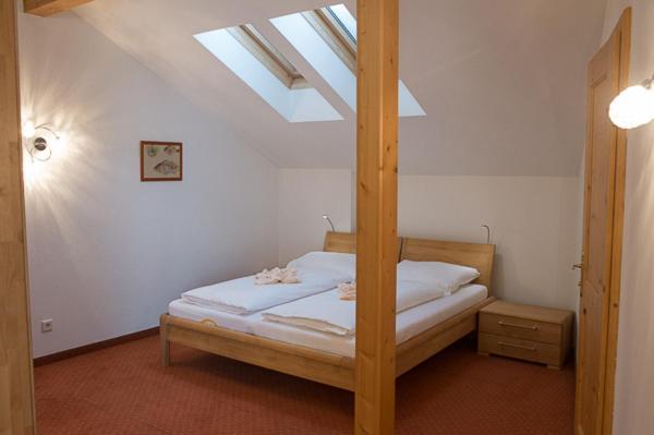 Haus Elisengrund Am Geigenbuehel - Chalet Prive 蒂罗尔-泽费尔德 外观 照片