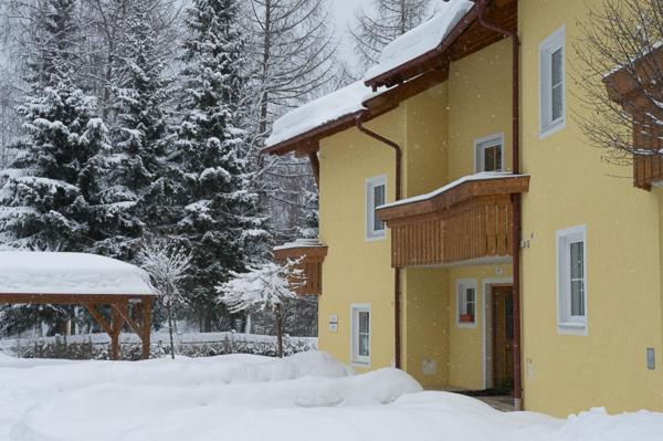 Haus Elisengrund Am Geigenbuehel - Chalet Prive 蒂罗尔-泽费尔德 外观 照片