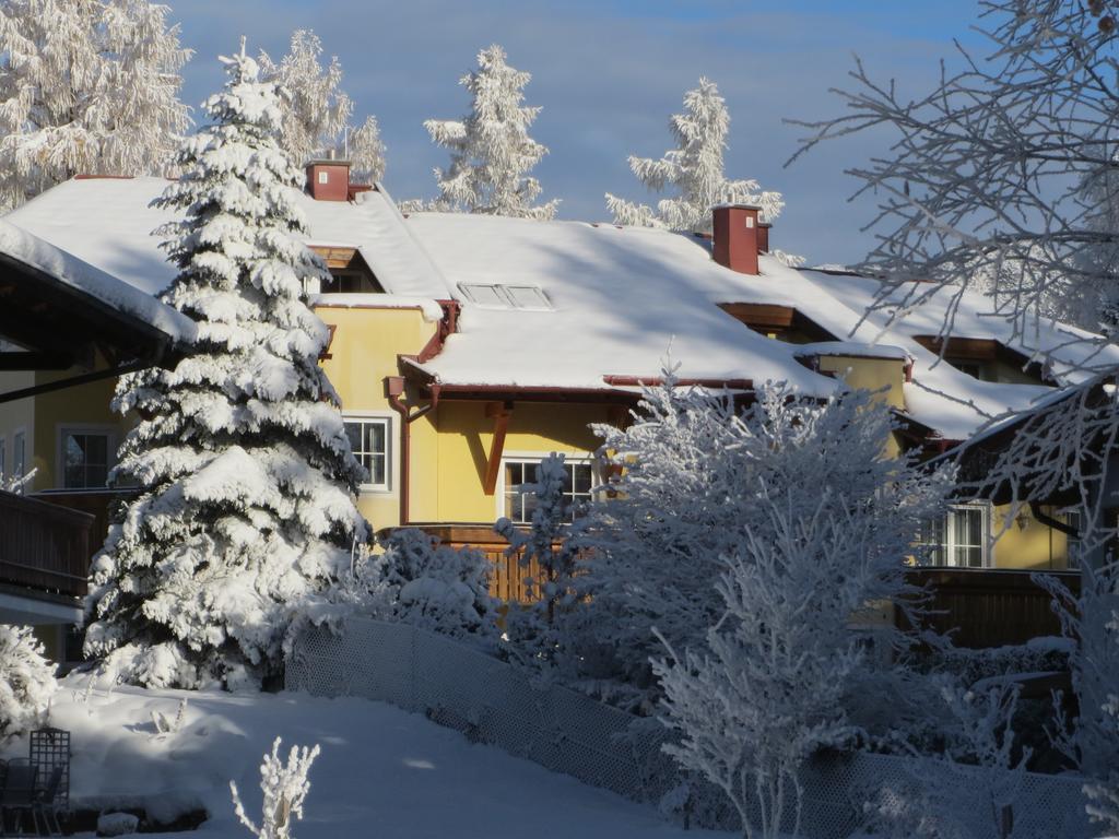 Haus Elisengrund Am Geigenbuehel - Chalet Prive 蒂罗尔-泽费尔德 外观 照片