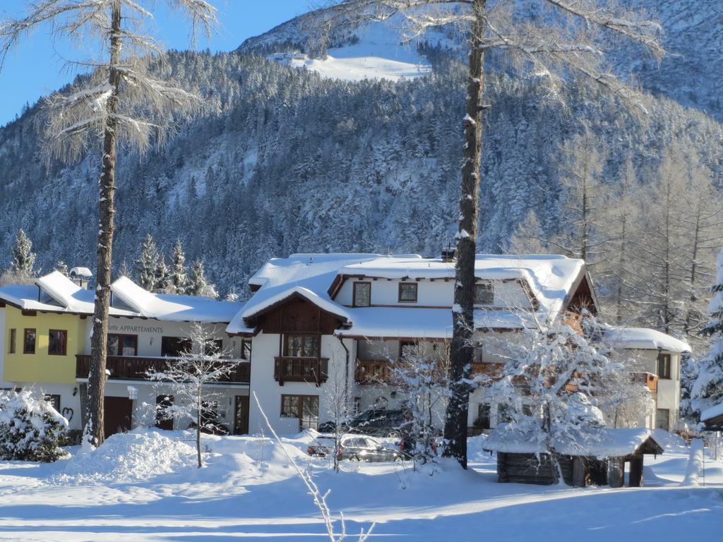 Haus Elisengrund Am Geigenbuehel - Chalet Prive 蒂罗尔-泽费尔德 外观 照片