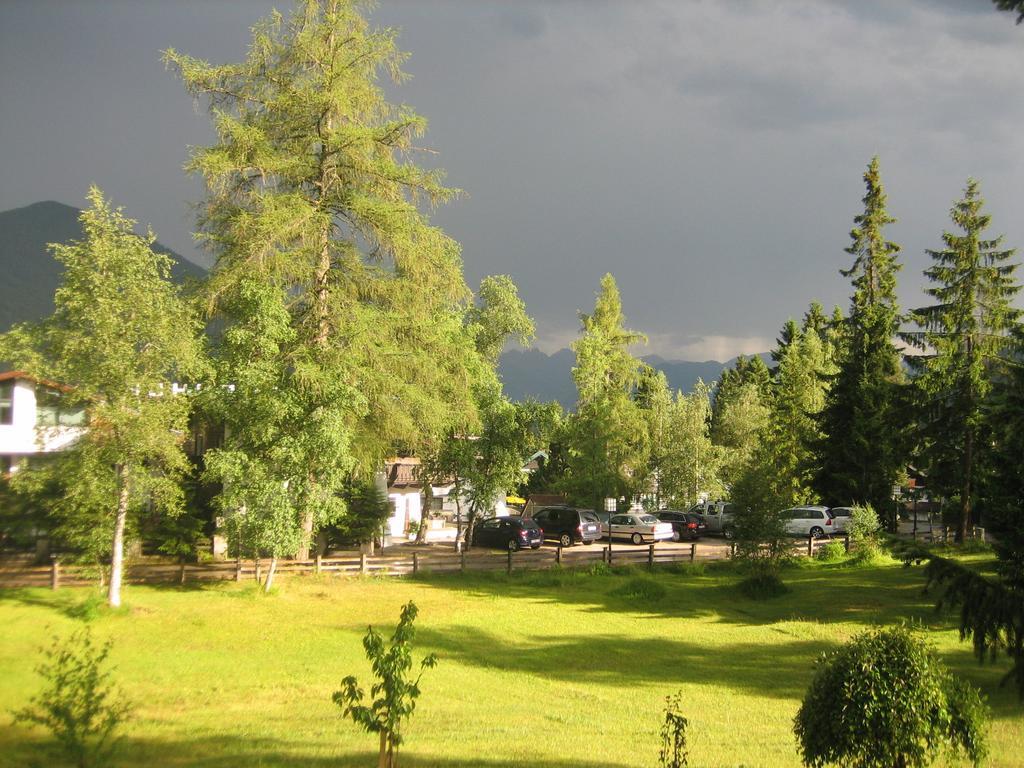 Haus Elisengrund Am Geigenbuehel - Chalet Prive 蒂罗尔-泽费尔德 外观 照片