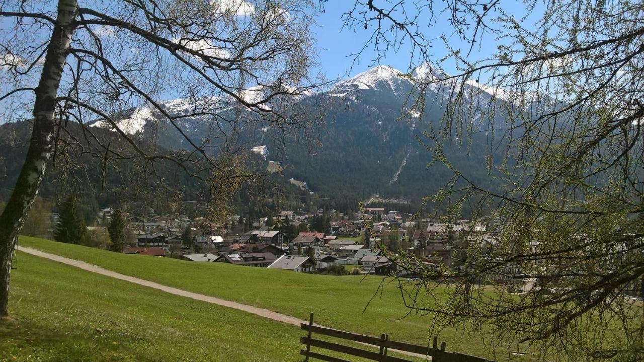 Haus Elisengrund Am Geigenbuehel - Chalet Prive 蒂罗尔-泽费尔德 外观 照片